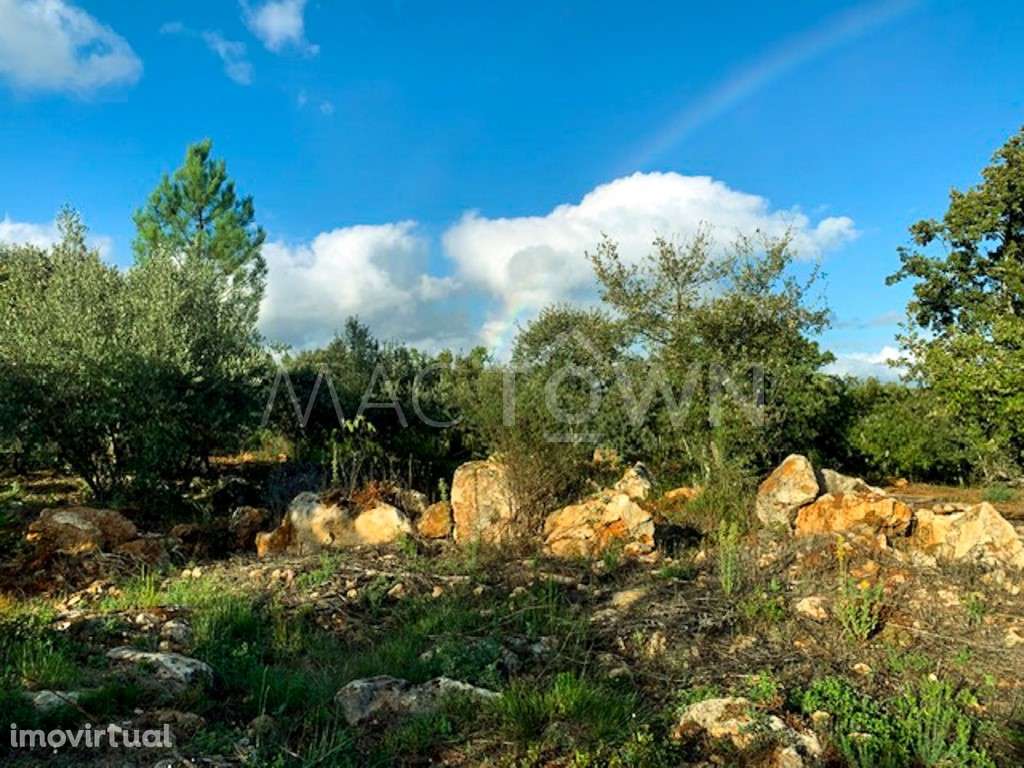 Refúgio Natural - Terreno - Grande imagem: 3/25