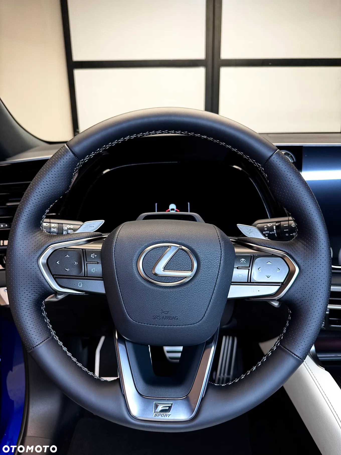 Lexus RX 500h F Sport - 22