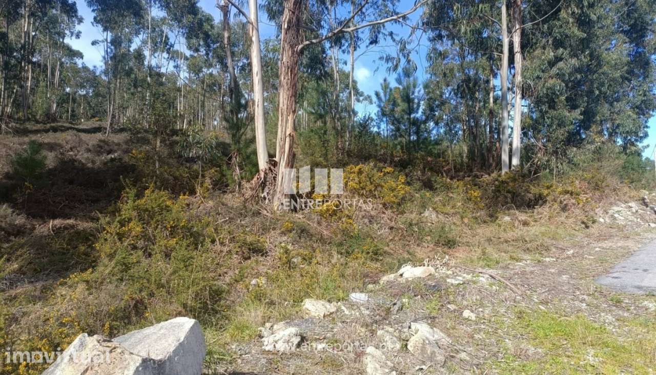 Venda Terreno, Abragão Penafiel - Grande imagem: 5/8