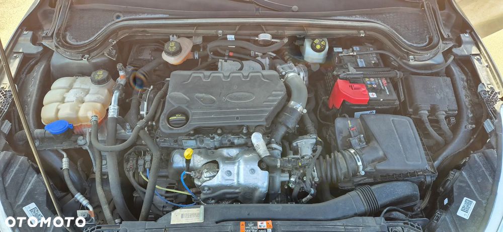 Ford Focus 1.5 EcoBlue Trend - 21