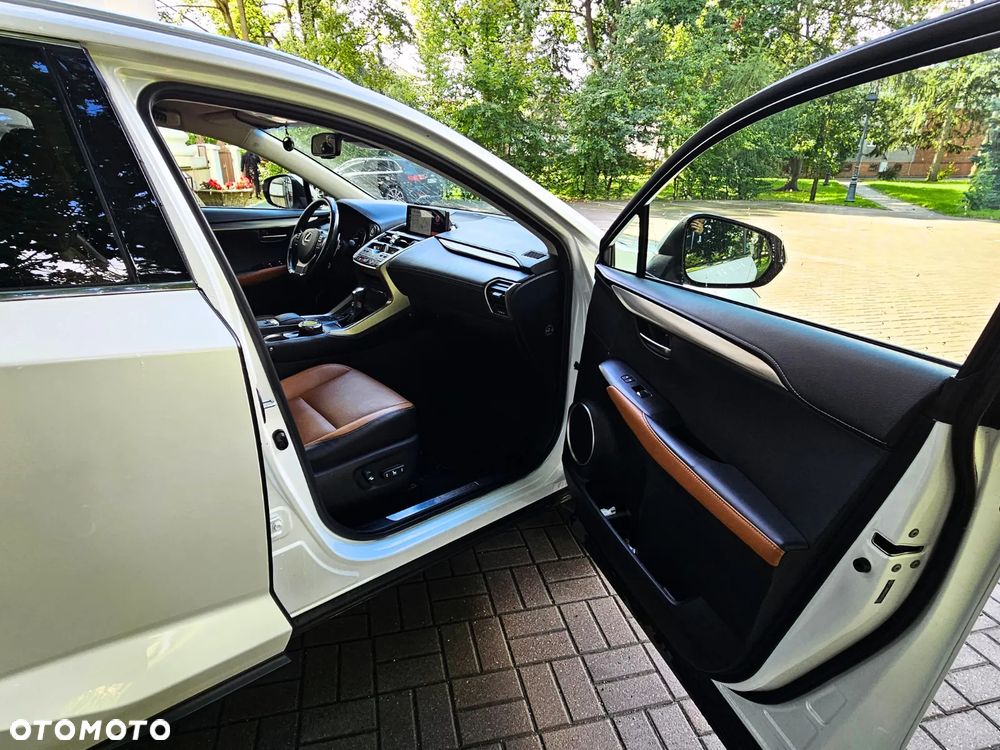 Lexus NX - 15