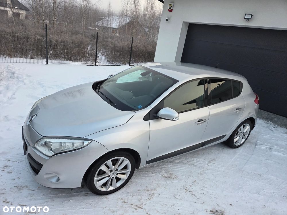 Renault Megane 1.6 16V 110 Authentique - 14