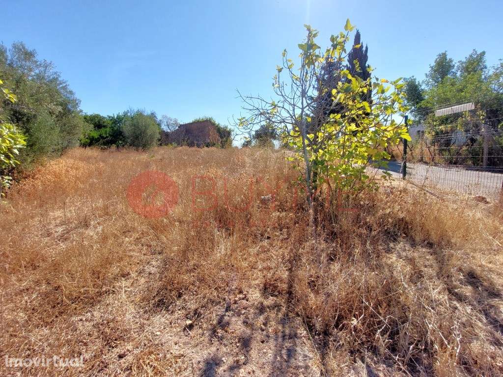 Terreno Misto com Projeto em Betunes, Loulé - Grande imagem: 5/8