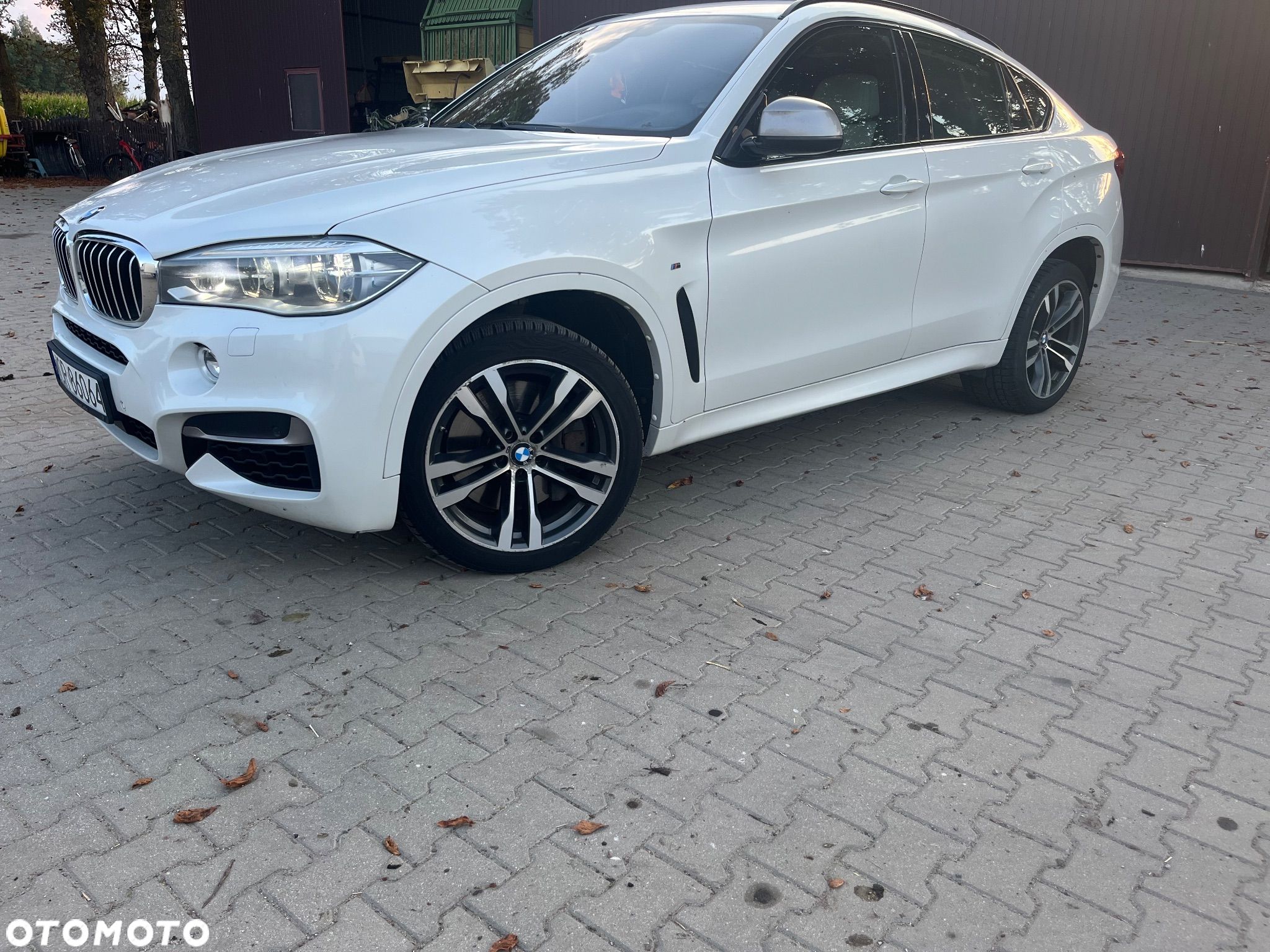BMW X6M - 1