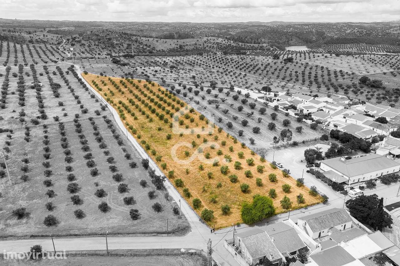 Terreno de 16019 c/ viabilidade de construção para 17 lotes | Amieira - Grande imagem: 3/22