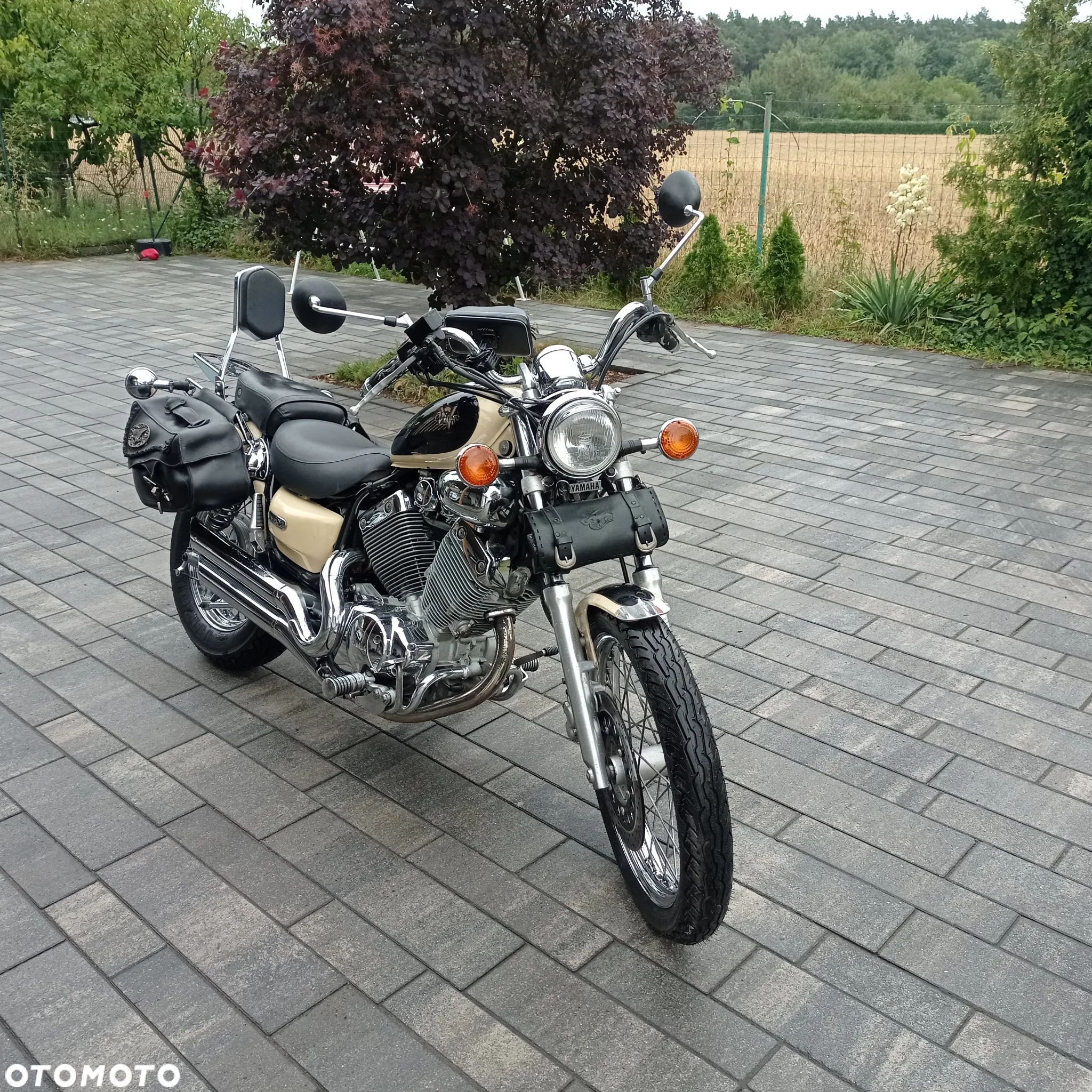 Yamaha Virago - 1