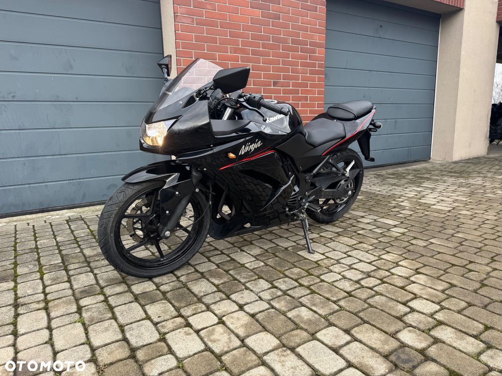 Kawasaki Ninja 250R - 8