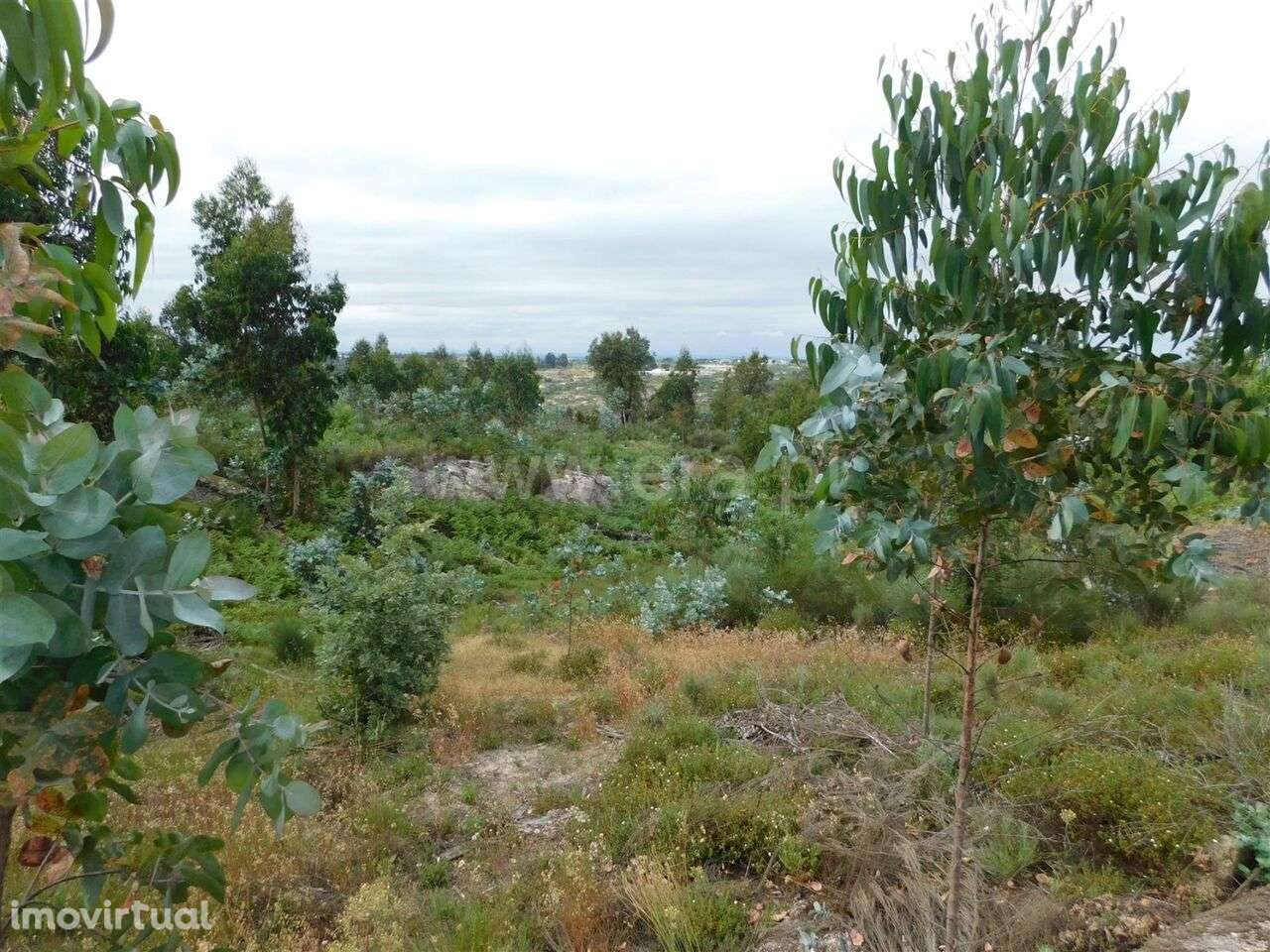 Terreno / Seia, Sameice - Grande imagem: 4/20