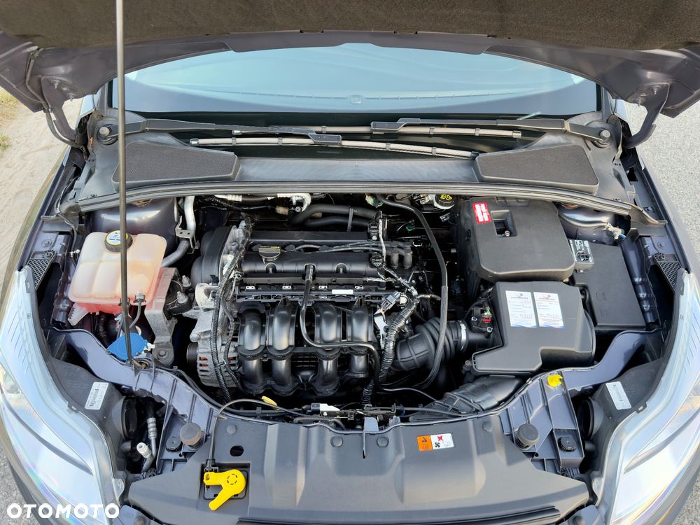 Ford Focus 1.6 Titanium - 25