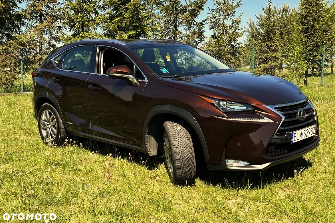 Lexus NX - 4