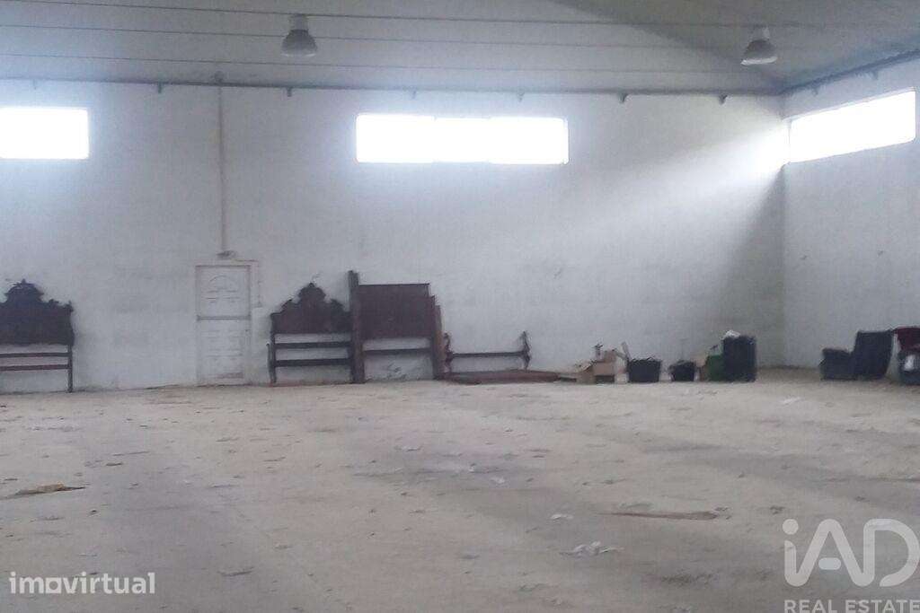 Hangar em Constantim e Vale de Nogueiras de 925,00 m2 - Grande imagem: 2/30