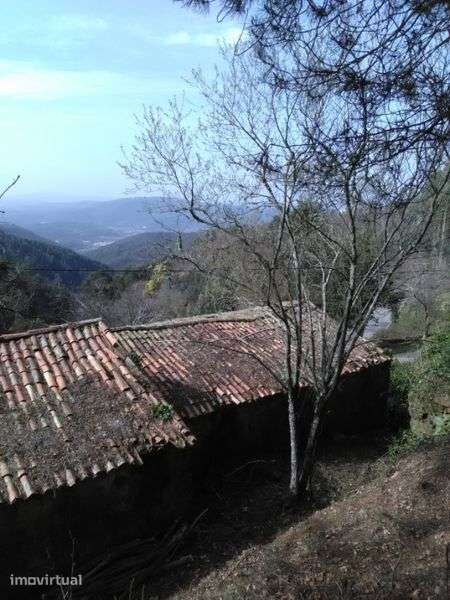 casa em pedra para recuperar -Pomar da serra-Espinhal - Grande imagem: 2/12