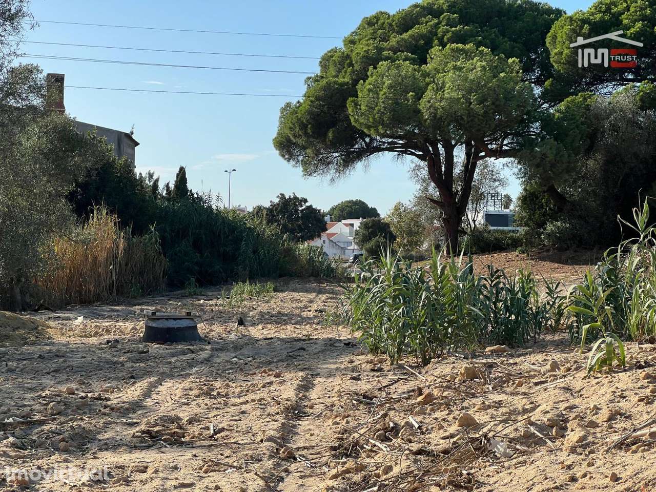 Terreno Rústico com 1,5 Hectares Perto do Mini Preço e Bombas da BP... - Grande imagem: 2/40