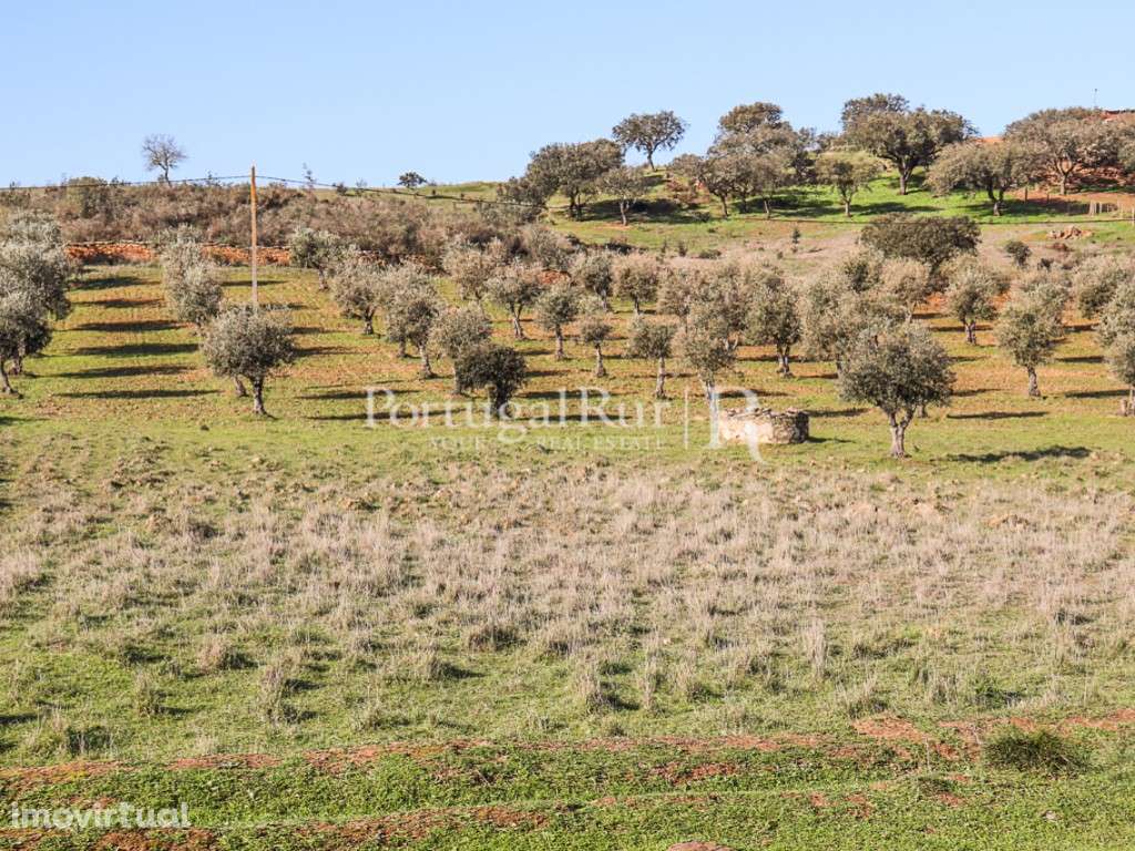 Terreno com cerca de 1,3Ha localizado próximo de Terena, Alandroal - Grande imagem: 5/14