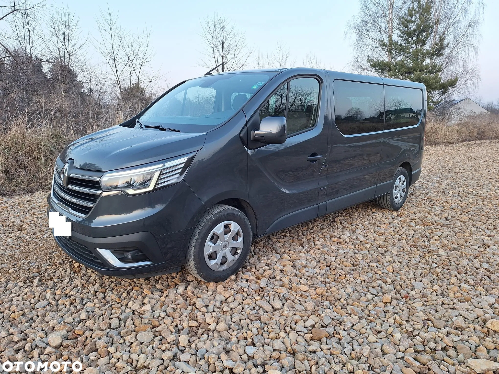Renault Trafic - 2
