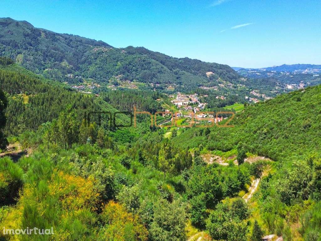 Quinta isolada - Amarante - Grande imagem: 3/45