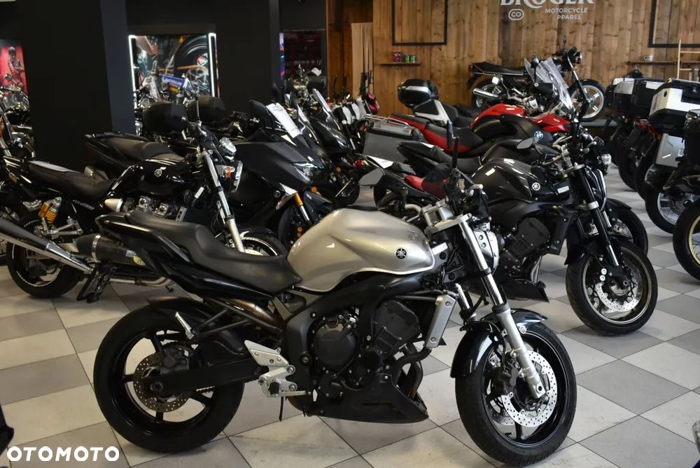 Yamaha FZ6 - 41