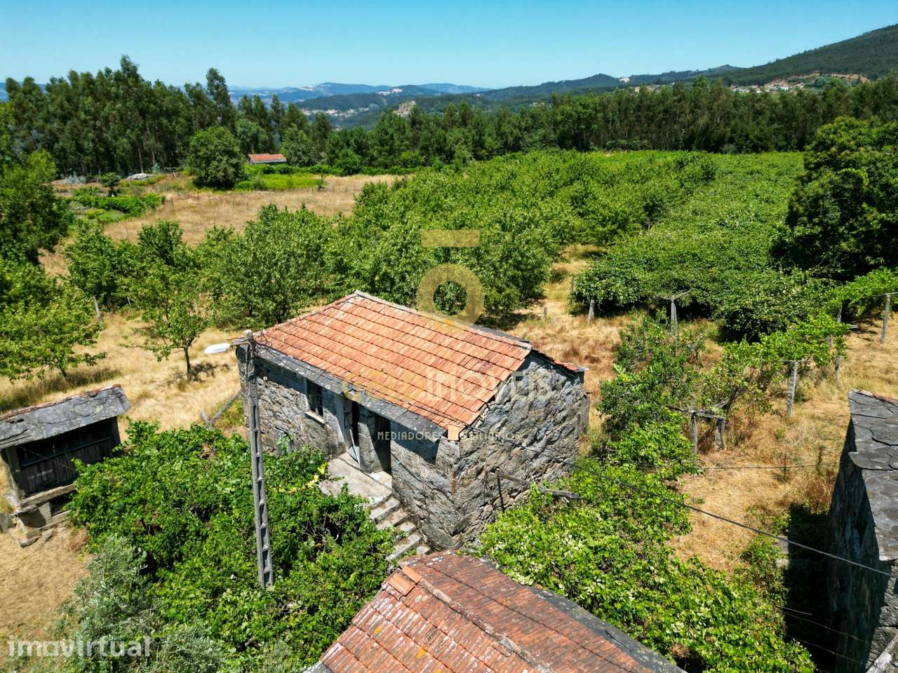 Quinta T4 Venda em Fornelos,Cinfães - Grande imagem: 2/16