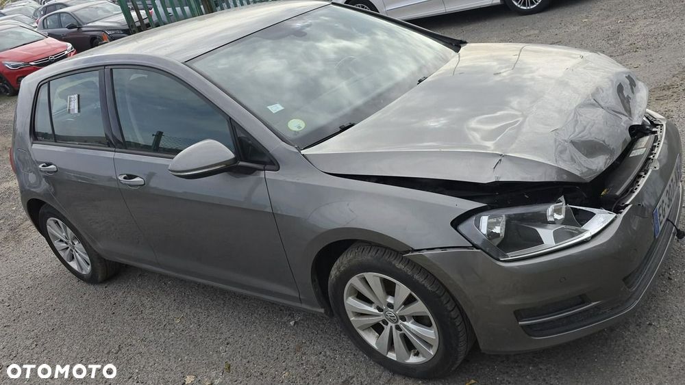 Volkswagen Golf - 30