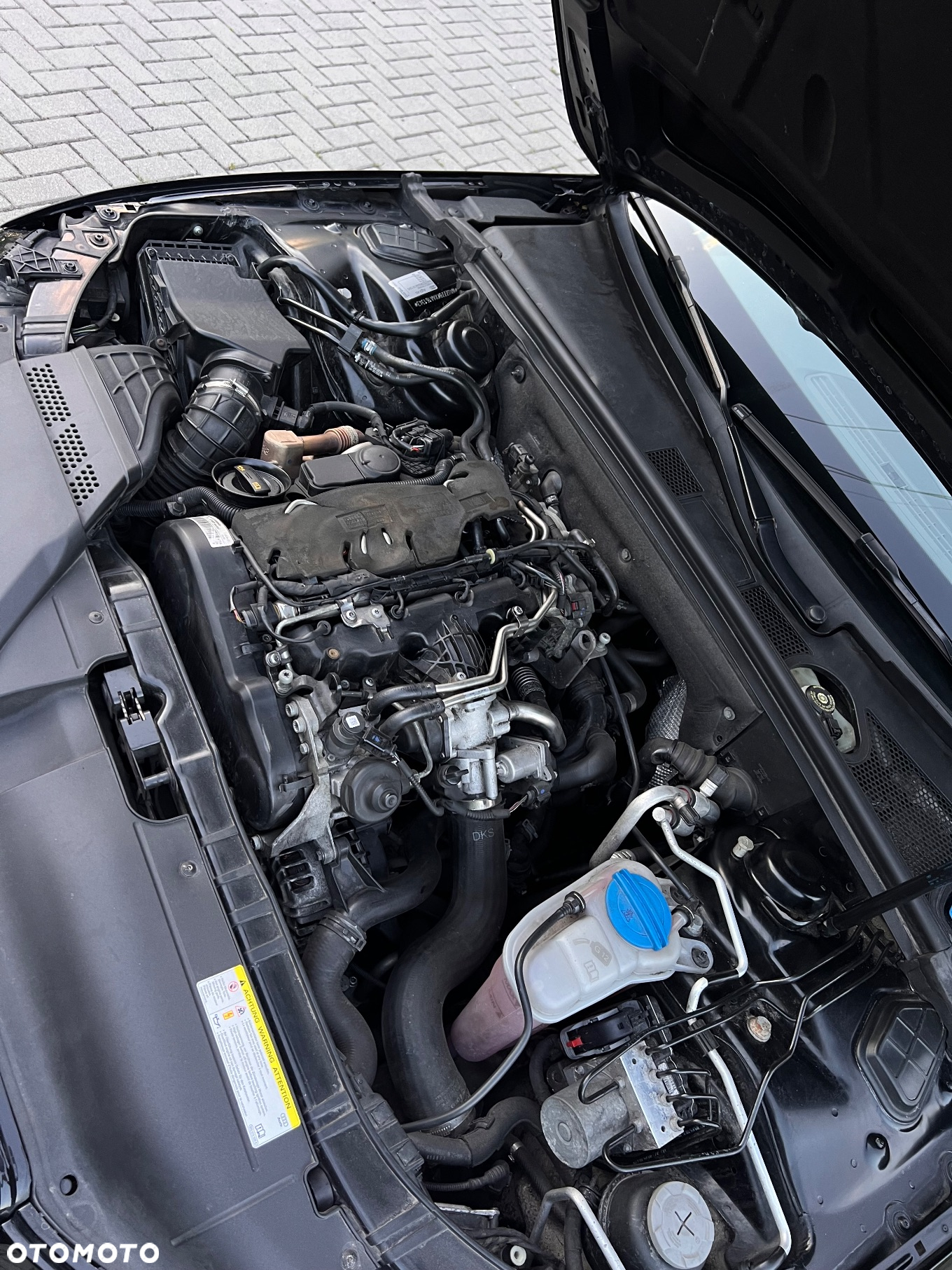 Audi A4 - 19
