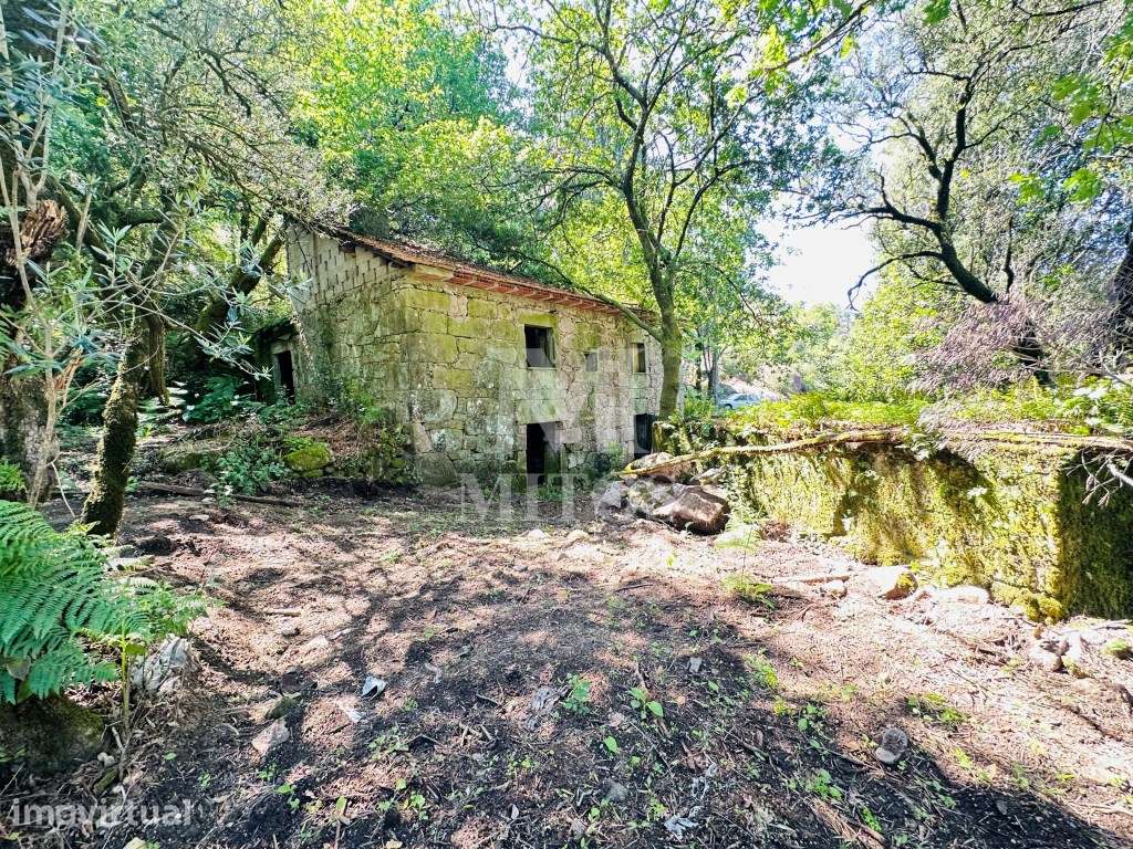 Quinta por recuperar para venda em Sande - Vila Verde - Grande imagem: 2/26