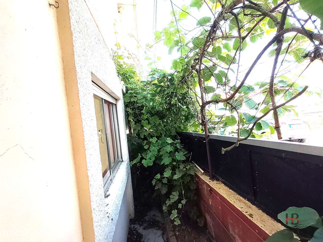 Moradia Isolada T2 Venda em Santa Marinha e São Pedro da Afurada,Vila - Grande imagem: 5/22