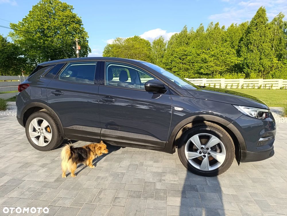 Opel Grandland X