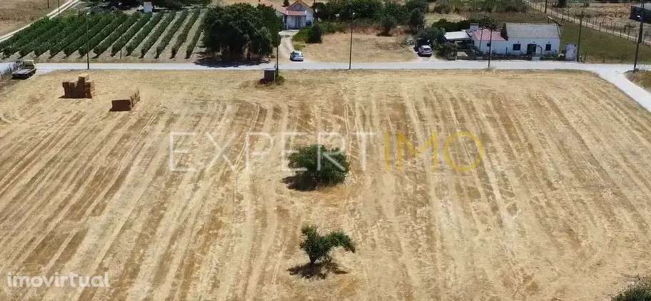 Terreno Rústico com 25.800 m² nas Lagameças, Palmela - Grande imagem: 5/8