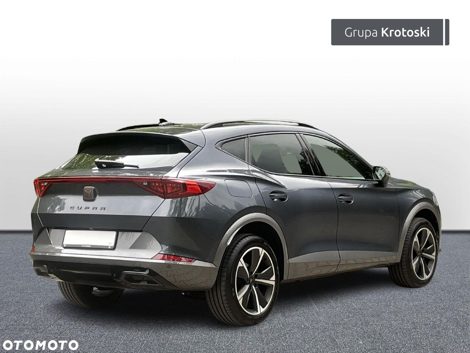 Cupra Formentor 2.0 TSI 4Drive DSG - 6
