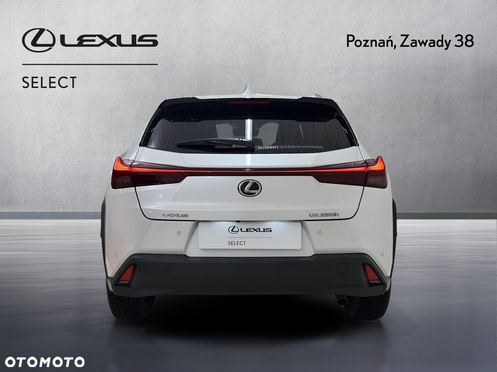 Lexus UX 250h GPF Business 2WD - 7