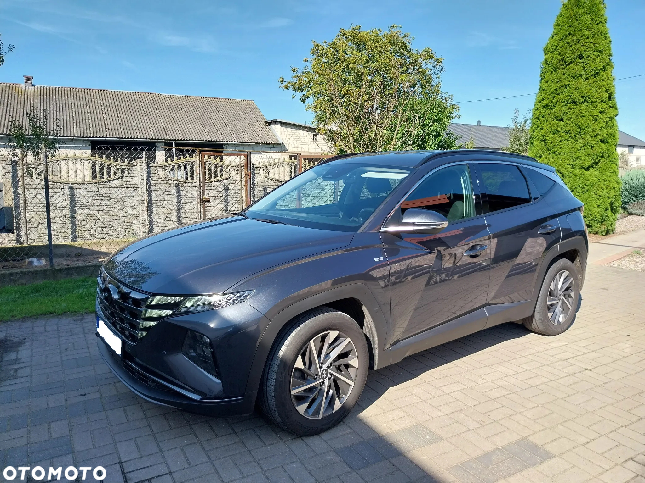 Hyundai Tucson 1.6 T-GDi 48V Executive 4WD DCT - 3