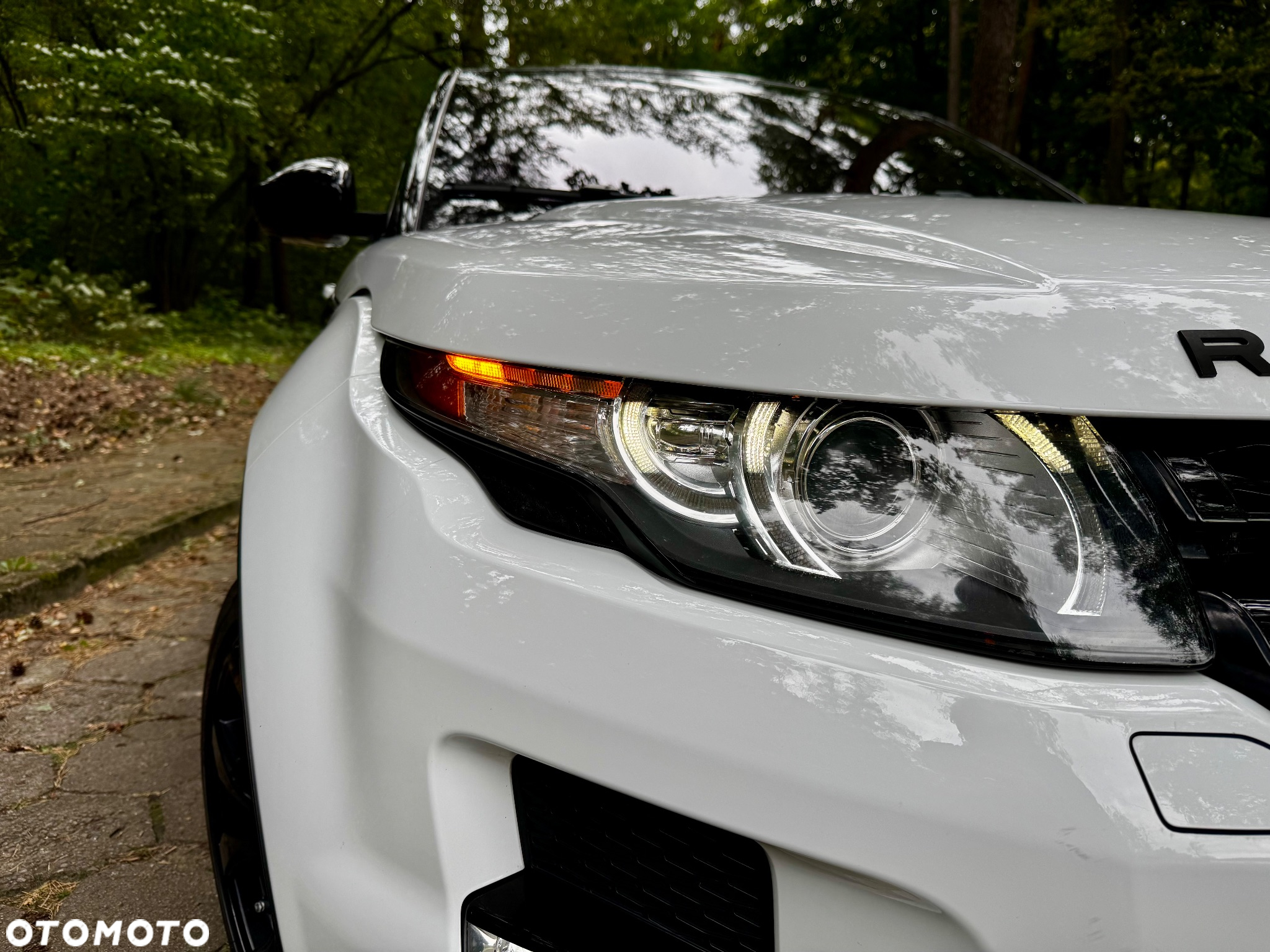 Land Rover Range Rover Evoque 2.0Si4 SE Dynamic - 32