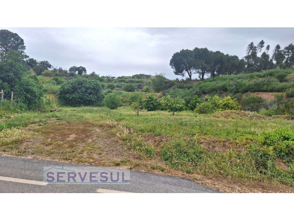 Dois terrenos rústicos para agricultura com árvores de fruto, com u... - Grande imagem: 3/6