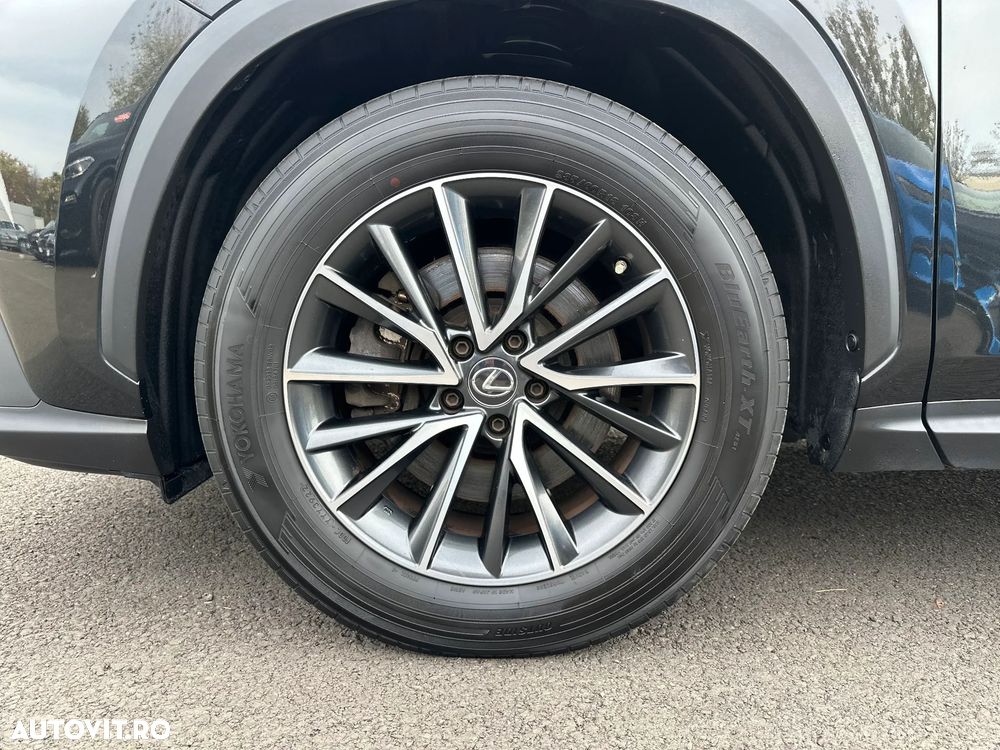 Lexus Seria NX - 13