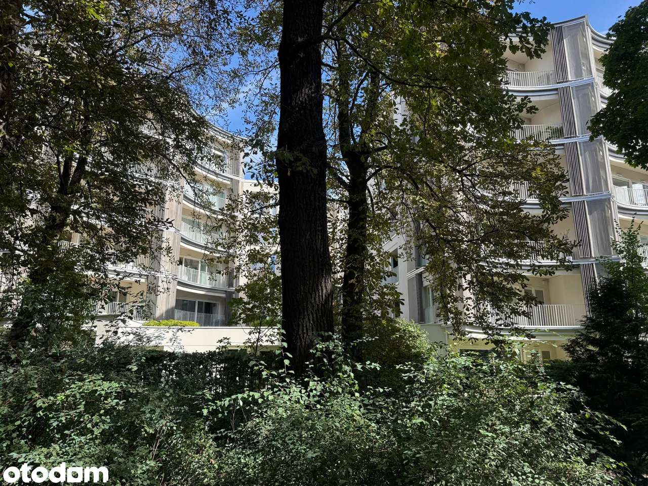 na wynajem mieszkanie 2 pokojowe Perfumiarnia Park Wilsona Ada Huck