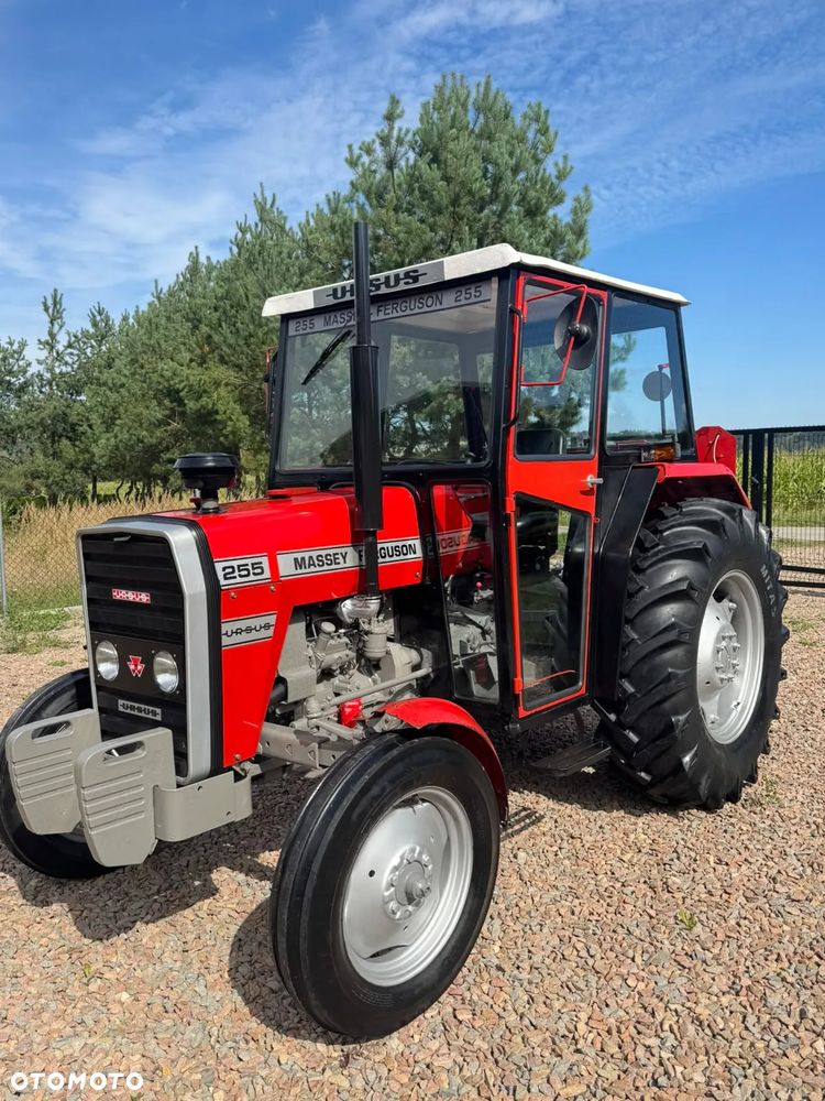 Ursus MF 255 - 1