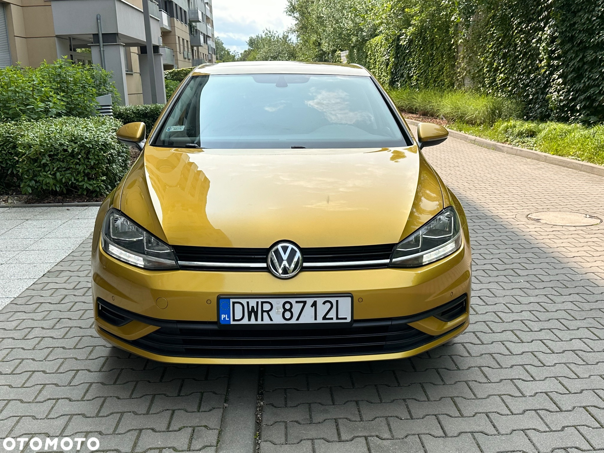 Volkswagen Golf VII 1.0 TSI BMT City - 2
