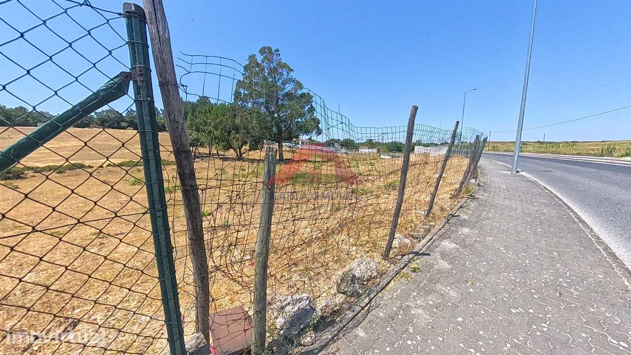 Terreno Rústico  Venda em Cartaxo e Vale da Pinta,Cartaxo - Grande imagem: 3/8