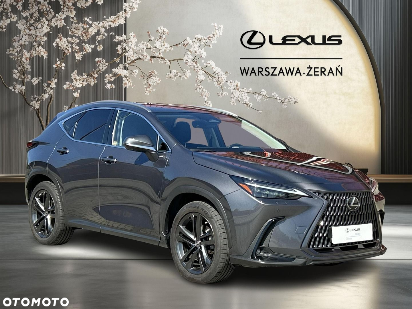 Lexus NX - 8