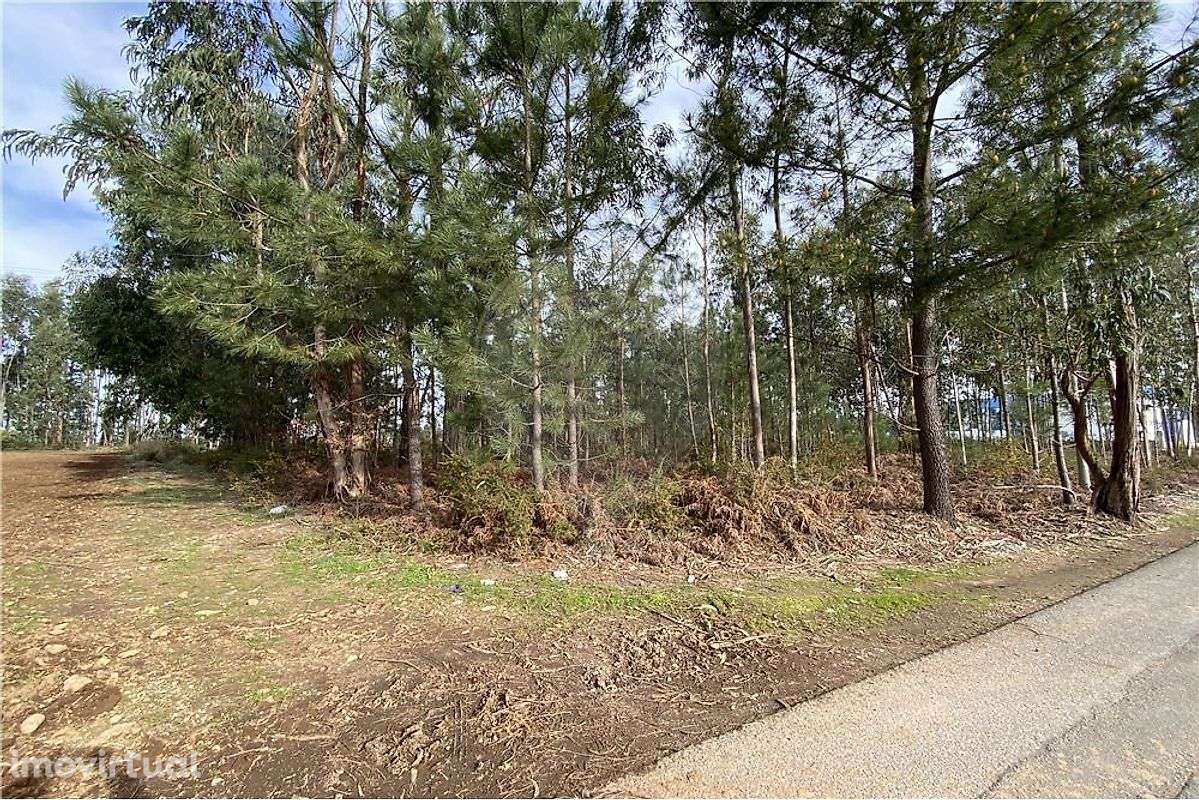 Terreno  para venda - Grande imagem: 3/9