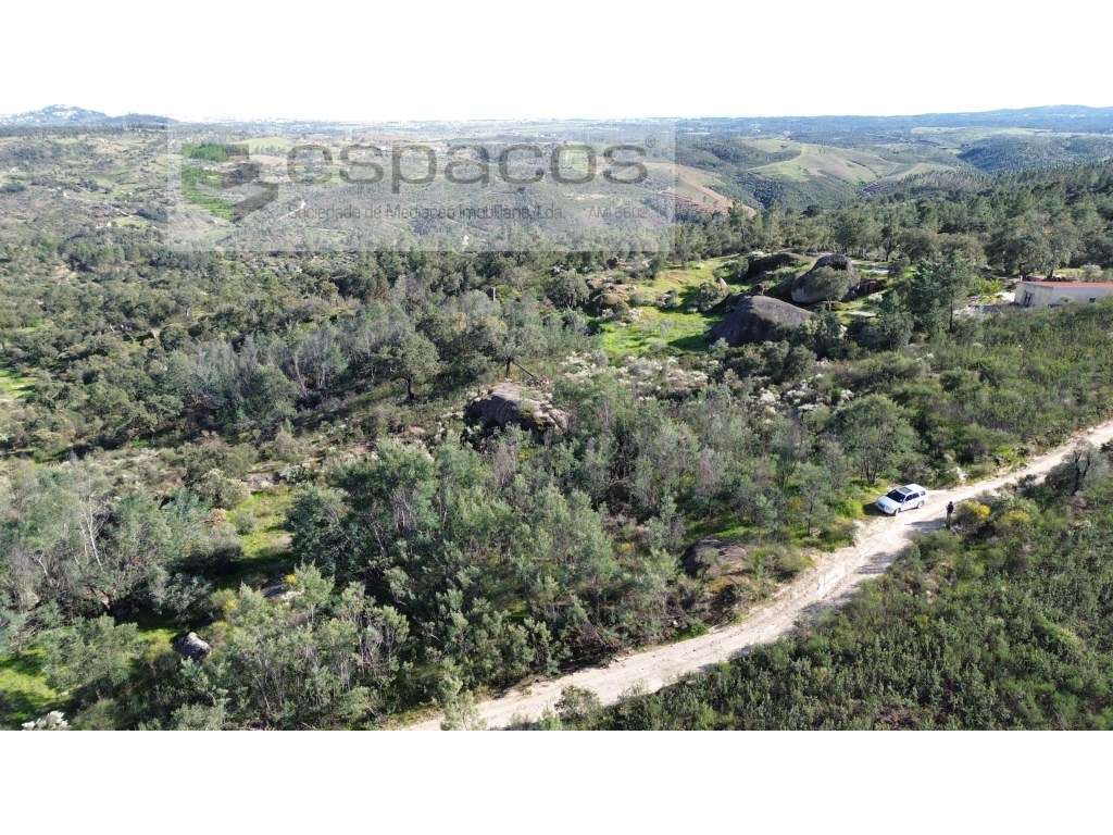 Quinta S. Lourenço - Palvarinho - Grande imagem: 2/11