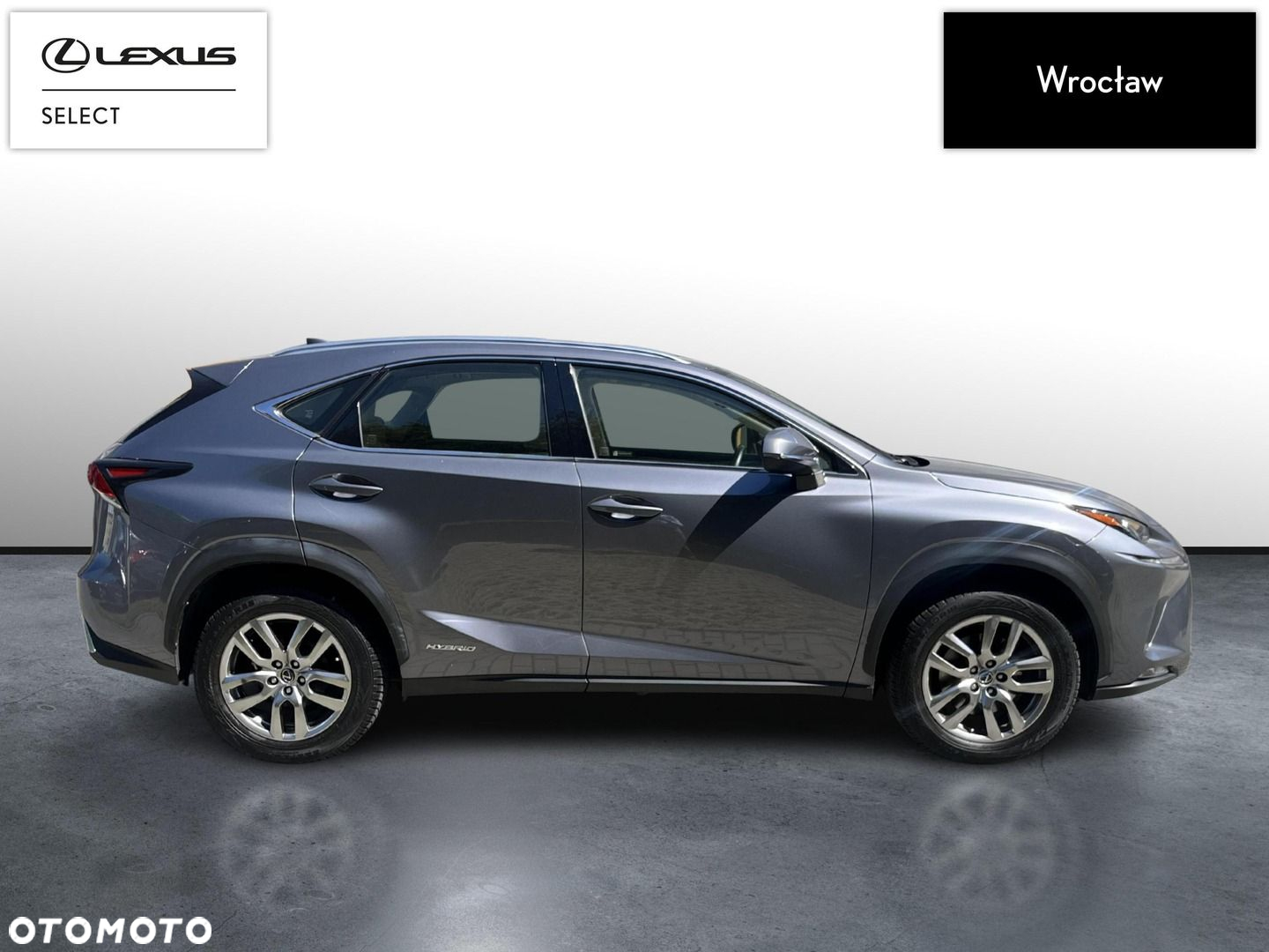 Lexus NX - 6