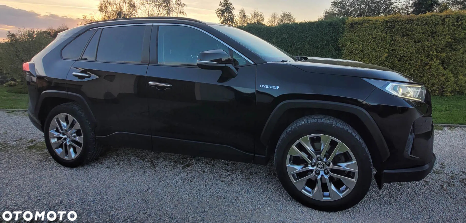 Toyota RAV4 2.5 Hybrid Executive 4x4 - 2