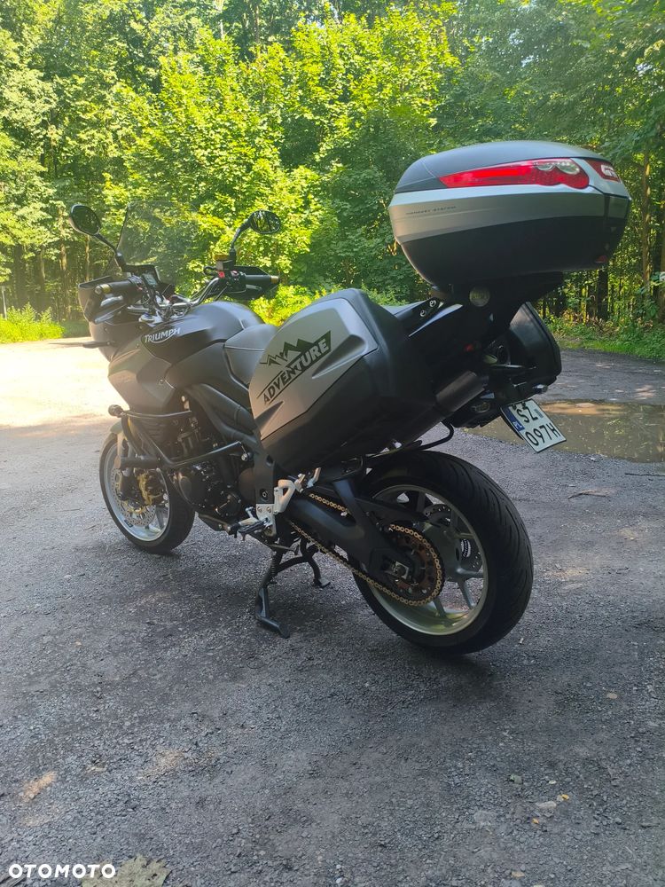 Triumph Tiger - 5