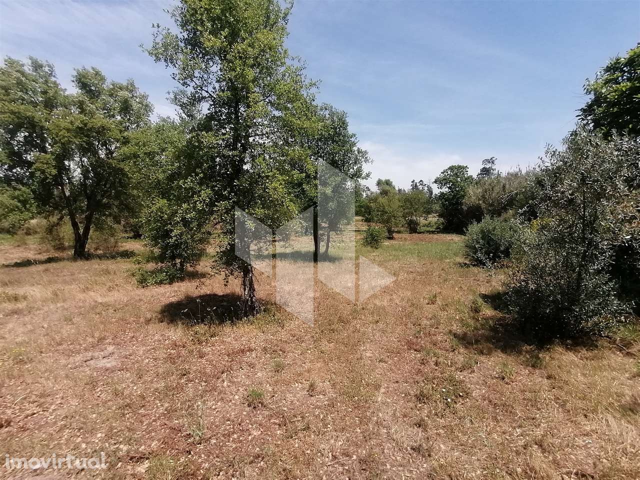 Terreno Rústico  Venda em Lobão da Beira,Tondela - Grande imagem: 3/7