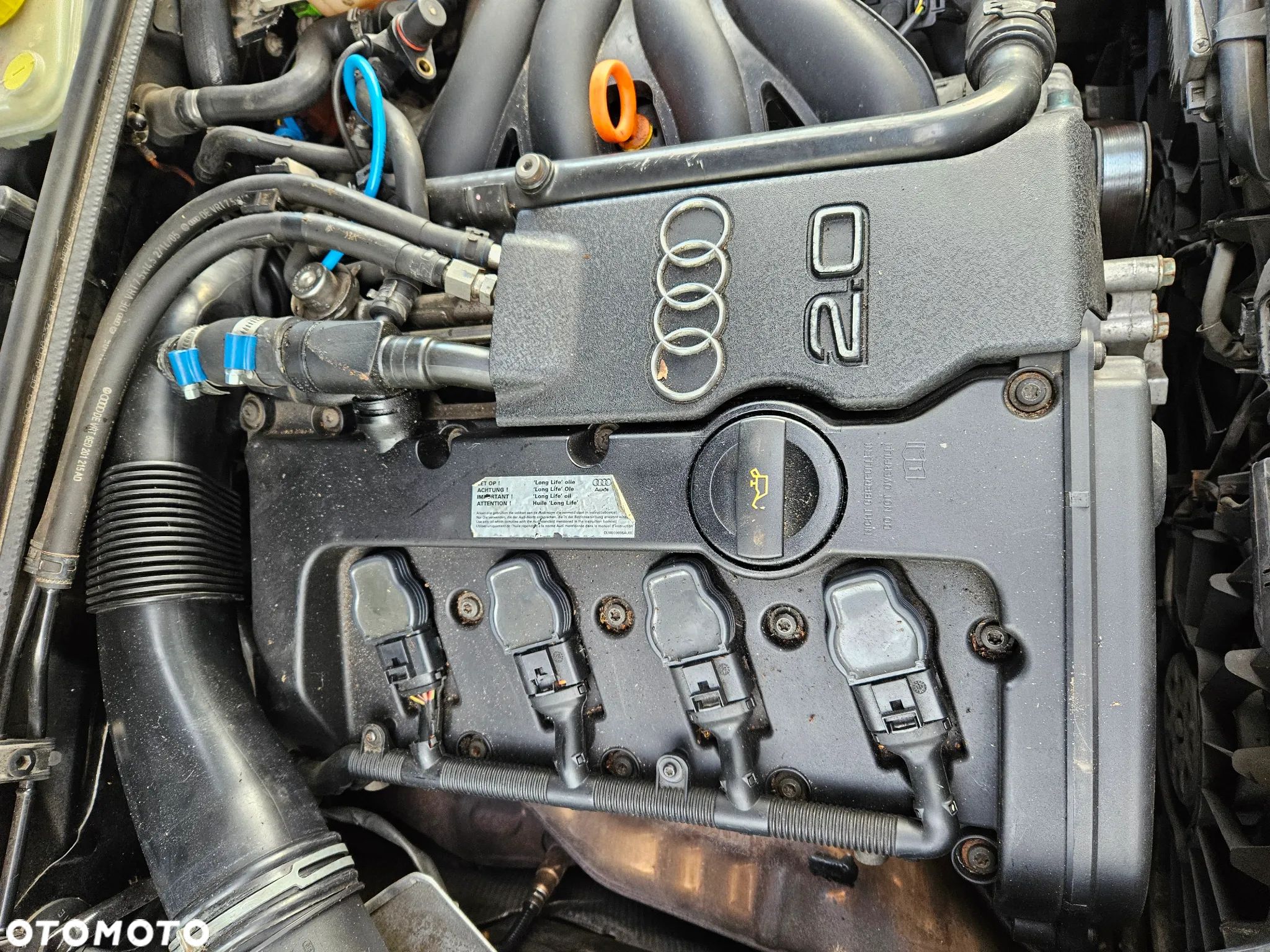 Audi A4 B6 B7 A6 2.0 FSI Silnik ALT - 1