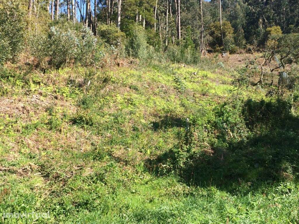 Terreno para construção - Grande imagem: 2/3