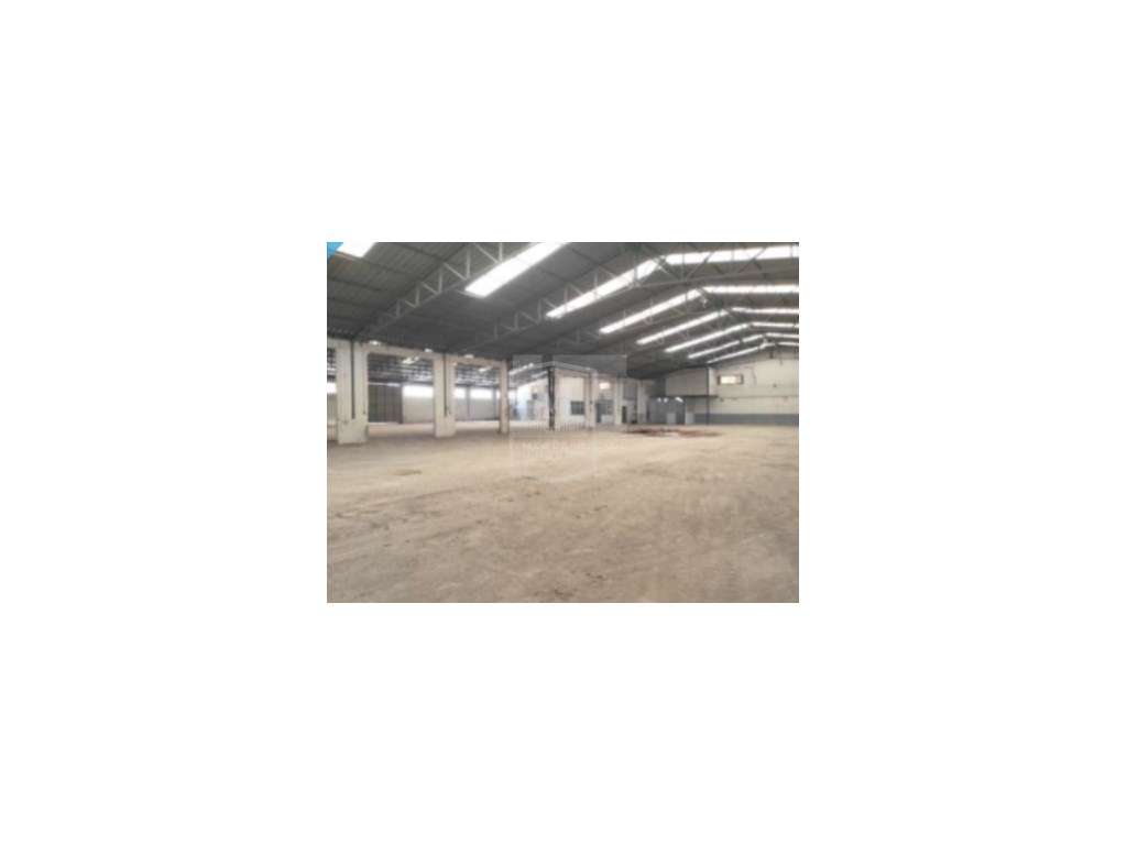 ARMAZÉM INDUSTRIAL - ZONA INDUSTRIAL EM TORRES NOVAS - Grande imagem: 5/5