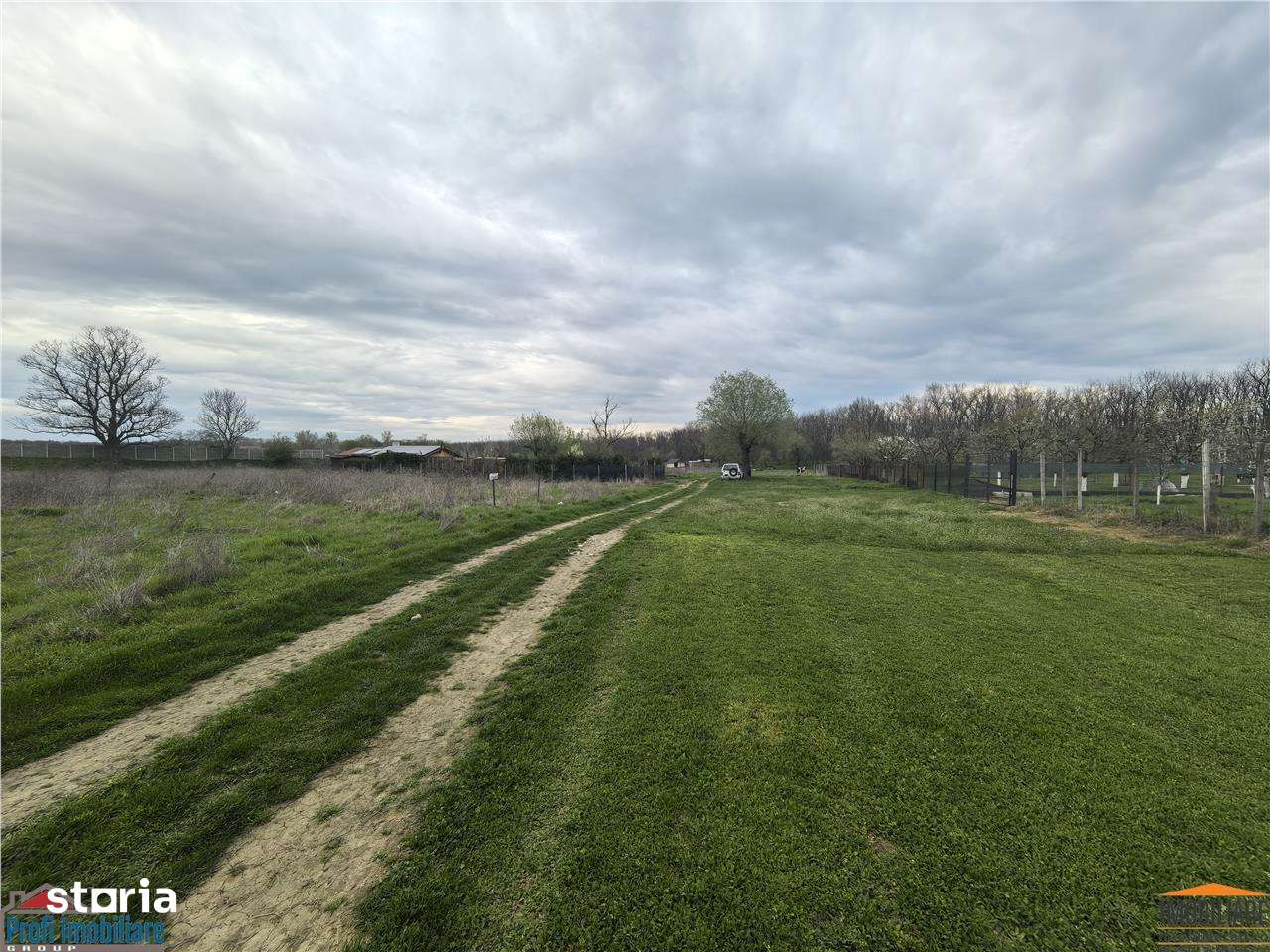 Teren zona agrement padure Vladimirescu - Imagine principală: 2/5