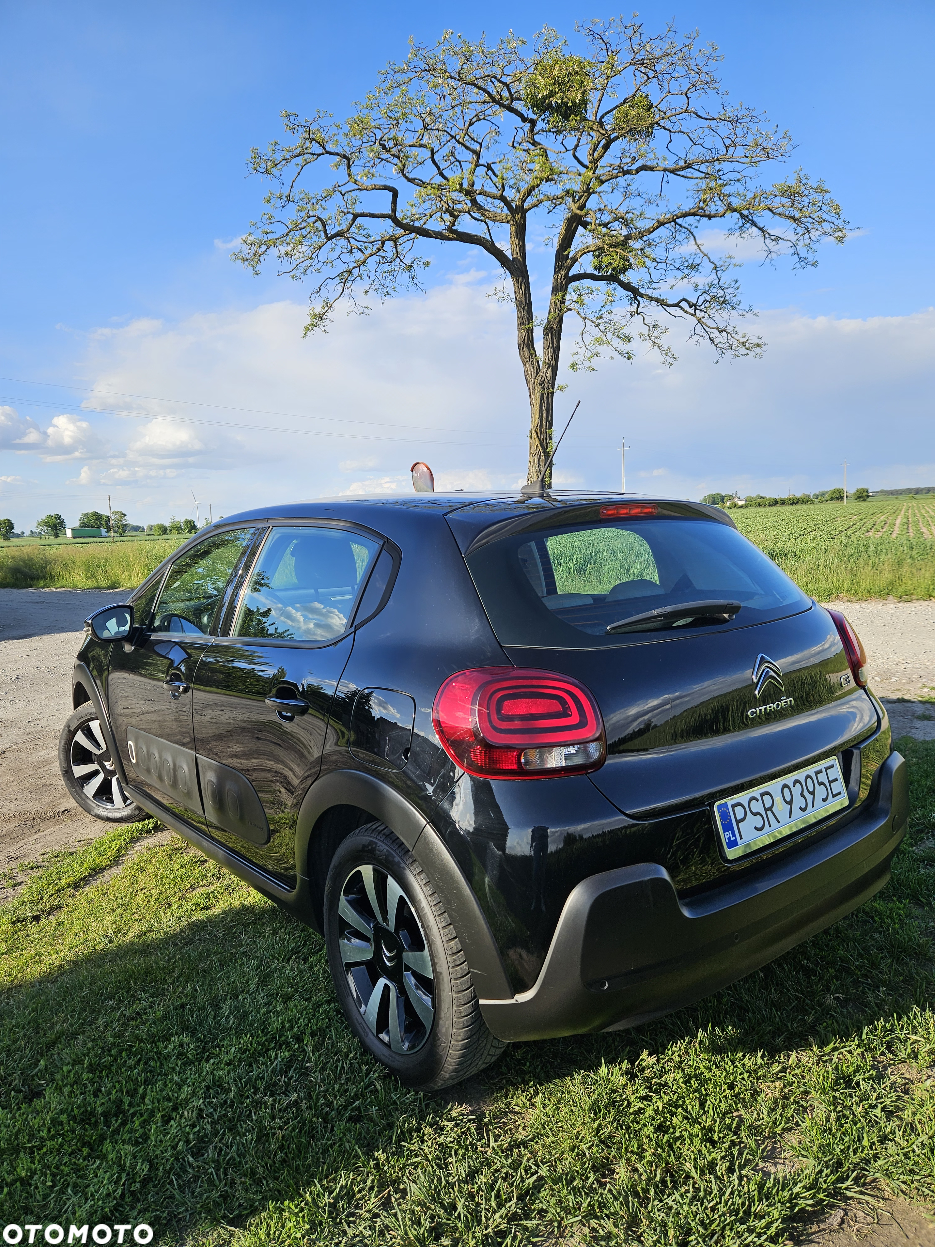 Citroën C3 Pure Tech 83 S&S FEEL - 22
